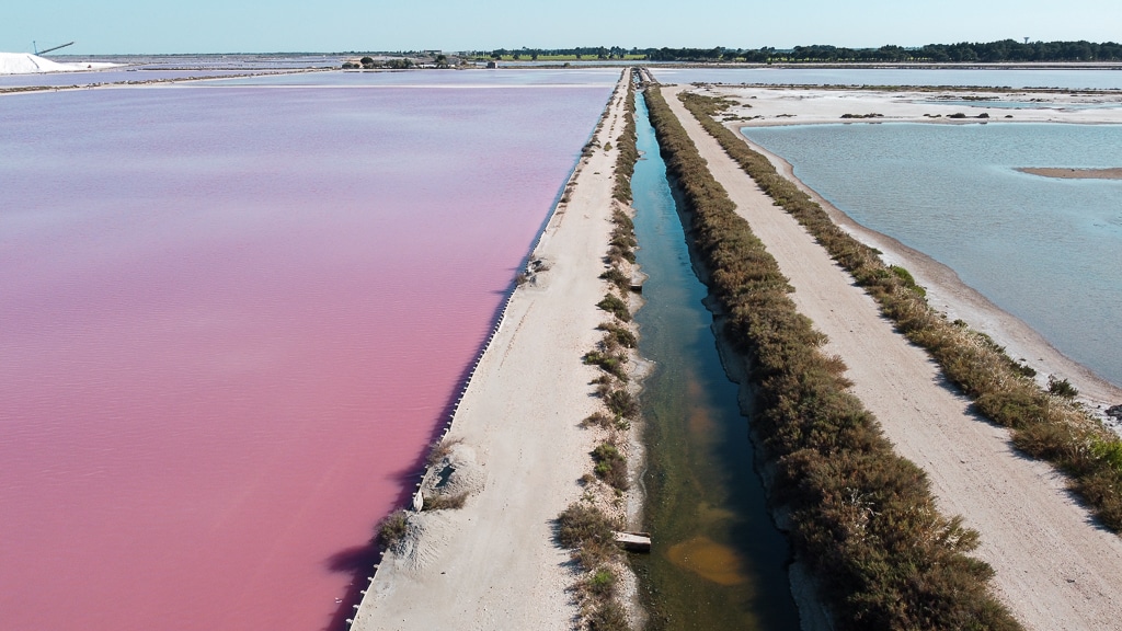Camargue